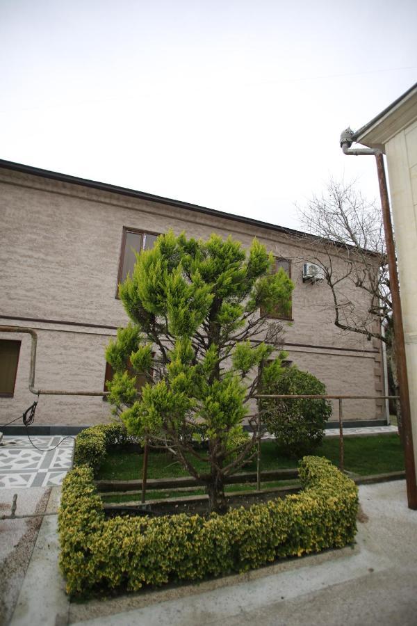 Guest House Nikola Zugdidi Exteriér fotografie